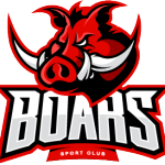 team-logo